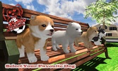My Cute Pet Dog Puppy Jack Sim screenshot 11