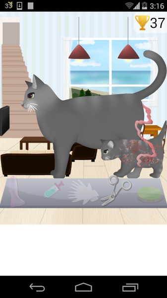 Cat Birth - Preview 2