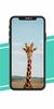 Giraffe Wallpaper screenshot 1