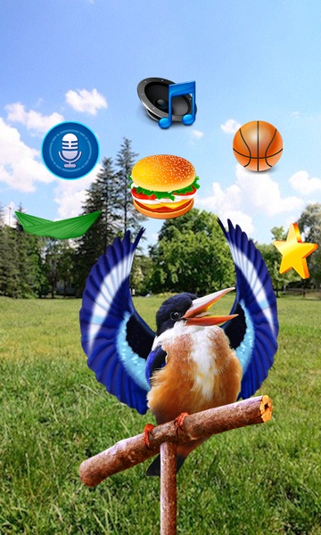 Real Talking Bird - Preview 7