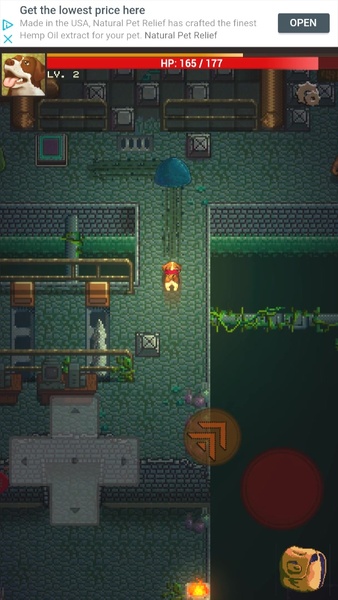 Doggo Dungeon: A Dog