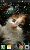 Christmas Cat live wallpaper screenshot 5