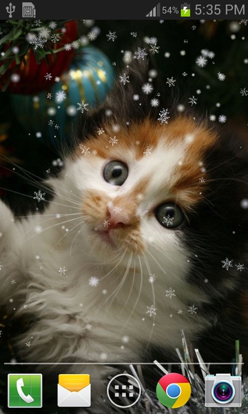 Christmas Cat live wallpaper - Preview 5