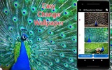 3D Peacock Wallpapers - Screen Lock, Sensor, Auto screenshot 10