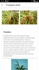 PlantIn: Plant Identification screenshot 10