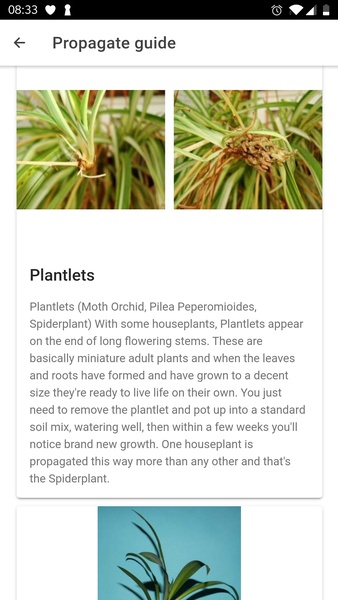 PlantIn: Plant Identification - Preview 10