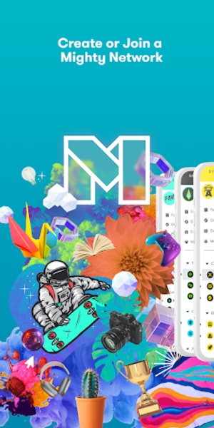 Mighty Networks 8.208.45 Screen Prints 8