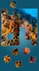 바다 세계 지그 소 퍼즐 screenshot 13