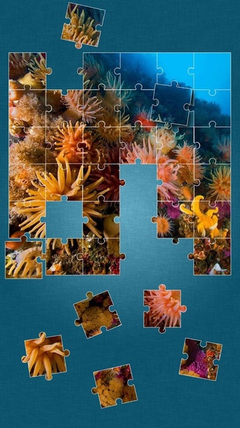 Under the Sea Jigsaw Puzzles - Preview 13