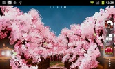 Sakura's Bridge Live Wallpaper screenshot 4