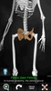 Bones Human 3D (anatomy) screenshot 5