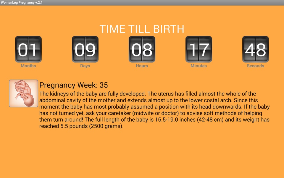WomanLog Pregnancy Calendar - Preview 15