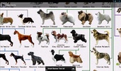 Dog Breeds screenshot 1