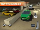 Multi Level 4 Parking screenshot 3