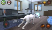 Bull Terier Dog Simulator screenshot 4