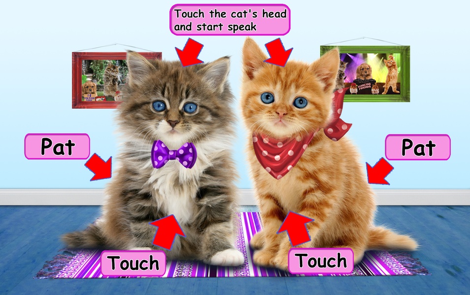 Funny Talking Cats - Preview 8