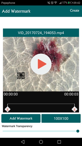 Add watermark to video - Preview 2