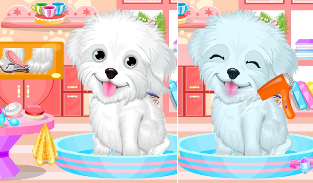 Fluffy Puppy Pet Spa And Care - Preview 6