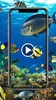 Fish Video Wallpaper screenshot 5