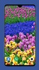 Beautiful Spring Wallpaper 4K screenshot 2