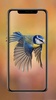 Birds Wallpaper screenshot 3