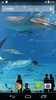 Mega Aquarium Live Wallpaper screenshot 4