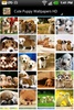 Cute Puppy Wallpapers HD screenshot 4