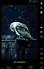 Hedwig Live Wallpaper screenshot 2
