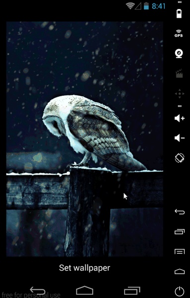 Hedwig Live Wallpaper - Preview 2