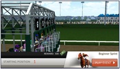 Photo Finish Horse Racing screenshot 2