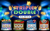 Triple Double Slots screenshot 8