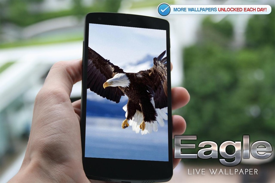 Eagle Live Wallpaper - Preview 1