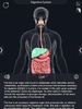 Digestive System Anatomy screenshot 5