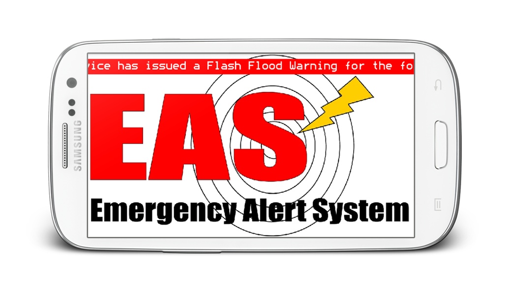 EAS Simulator Free - Preview 6