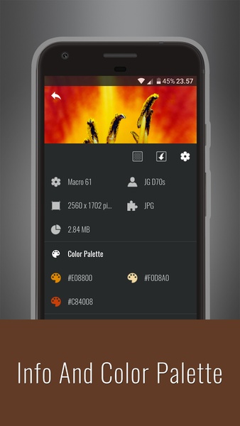 Macro Wallpapers - Preview 12