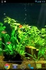 Fish Tank HD screenshot 2