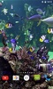 Aquarium 4K Video Wallpaper screenshot 4