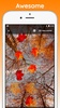 Autumn Maple Live Wallpaper screenshot 1
