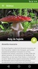 Boletus Lite - mushrooms screenshot 7
