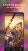 Butterfly Wallpapers 4K screenshot 3