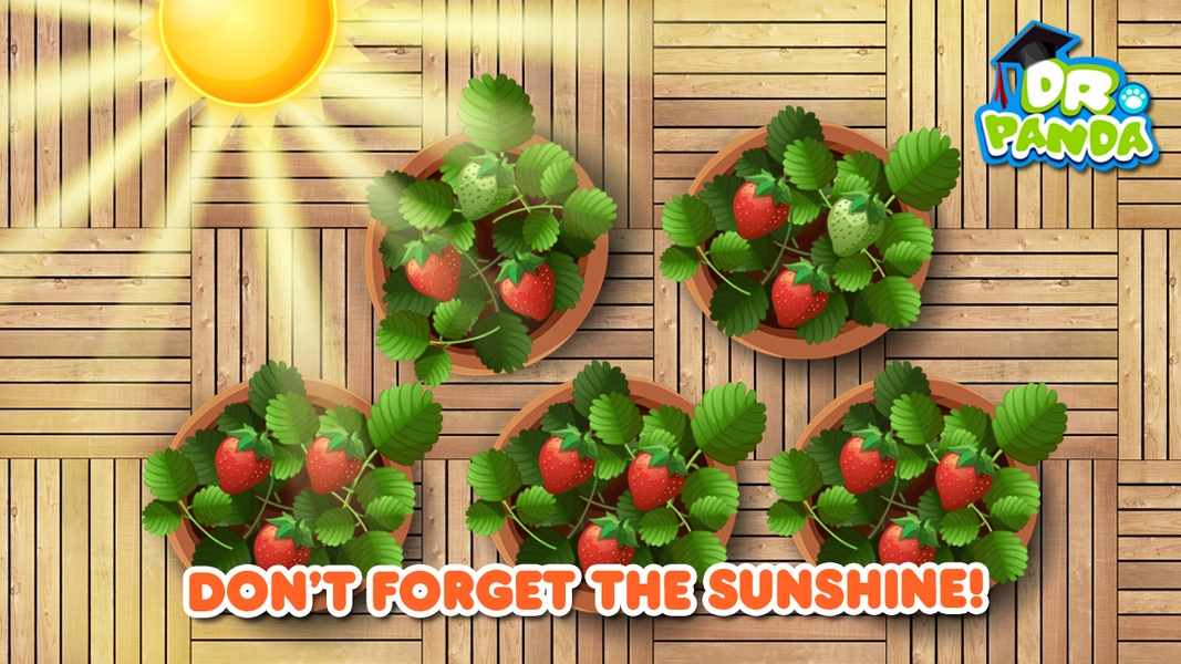 Veggie Garden Free - Preview 9
