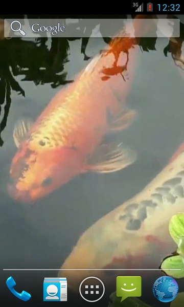 Japanese Koi Fish - Preview 2
