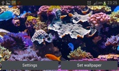 Aquarium Live Wallpaper screenshot 3