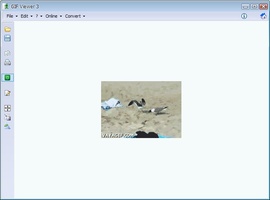Gif Viewer 3 2 For Windows Download