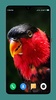 Parrot Wallpapers 4K screenshot 7