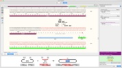 SnapGene screenshot 1