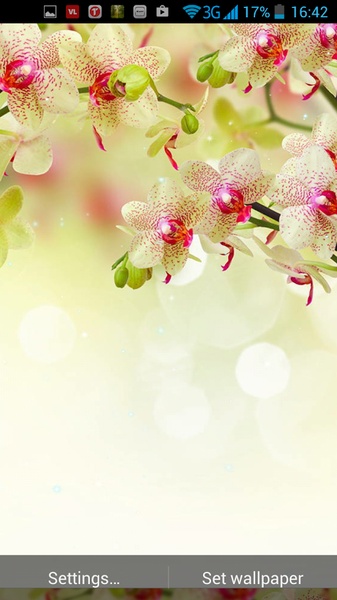 Flower Live Wallpaper - Preview 2