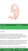 Pregnancy Calculator screenshot 5