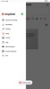 AnyDesk screenshot 2