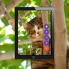 Cats Wallpapers HD & Backgrounds HD screenshot 3